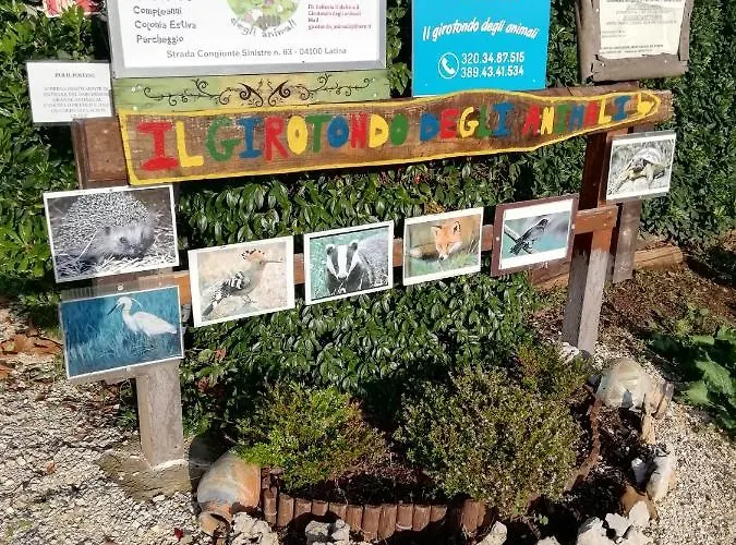 Casadolcecasalatina Bed and Breakfast Λατίνα