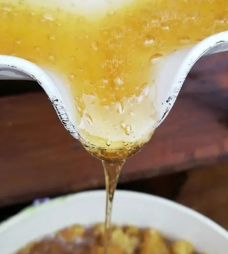 Bed and Breakfast Casadolcecasalatina Λατίνα