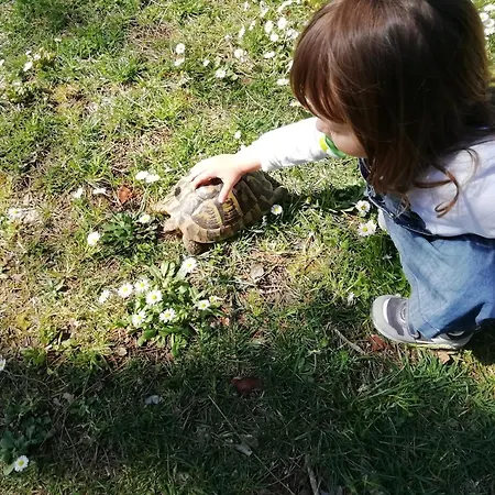 Bed and Breakfast Casadolcecasalatina